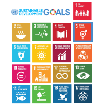 17 UN SDGs